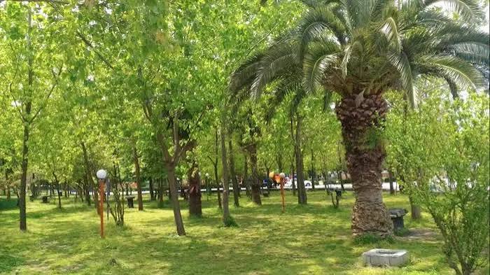 پارک-ساحلی-ملت-–-شهر-محمودآباد-–-شهرستان-محمودآباد