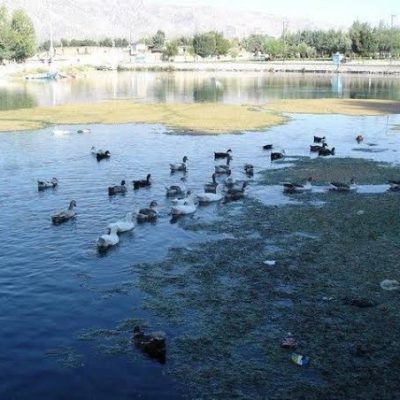 چشمه-برم-و-گردشگاه-برم-–-لردگان