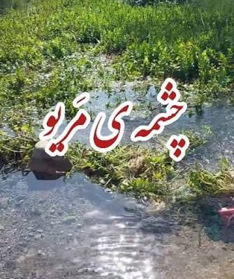 چشمه-مریو-–-نکا