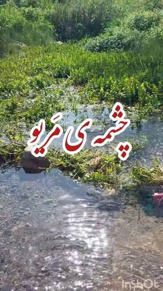 چشمه-مریو-–-نکا