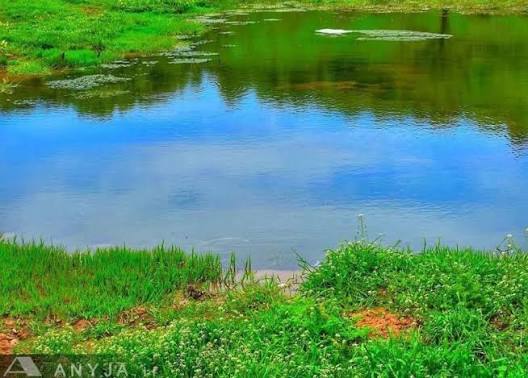 چشمه-معدنی-هزارون-واسکس-–-روستای-واسکس-–-قائم‌شهر