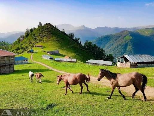 ییلاق-زودل‌سر-–-خانوانه-و-زودل-–-فومن